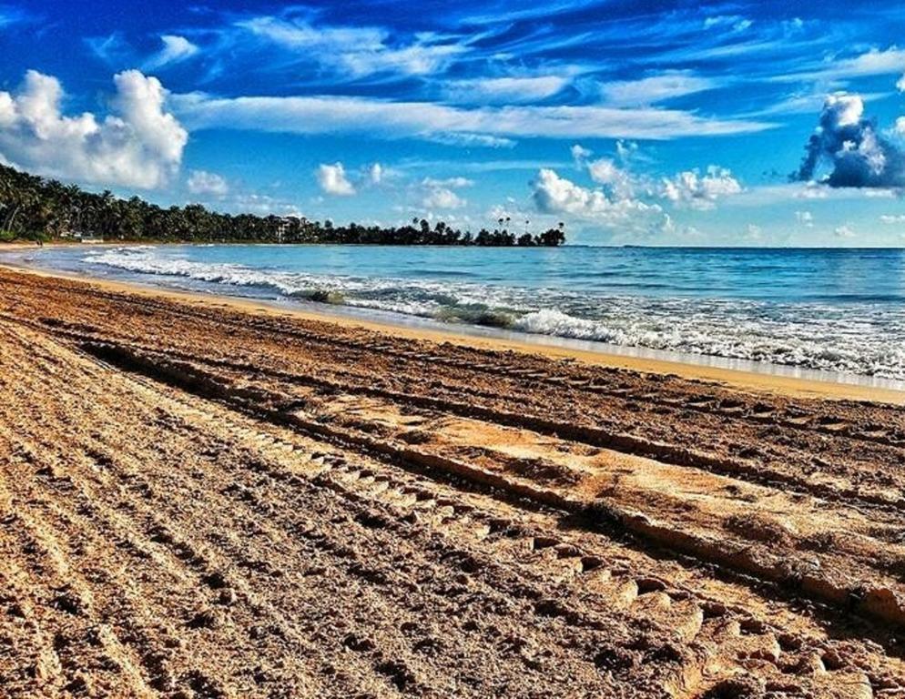 Park Royal Homestay Club Cala Puerto Rico Humacao Exteriör bild
